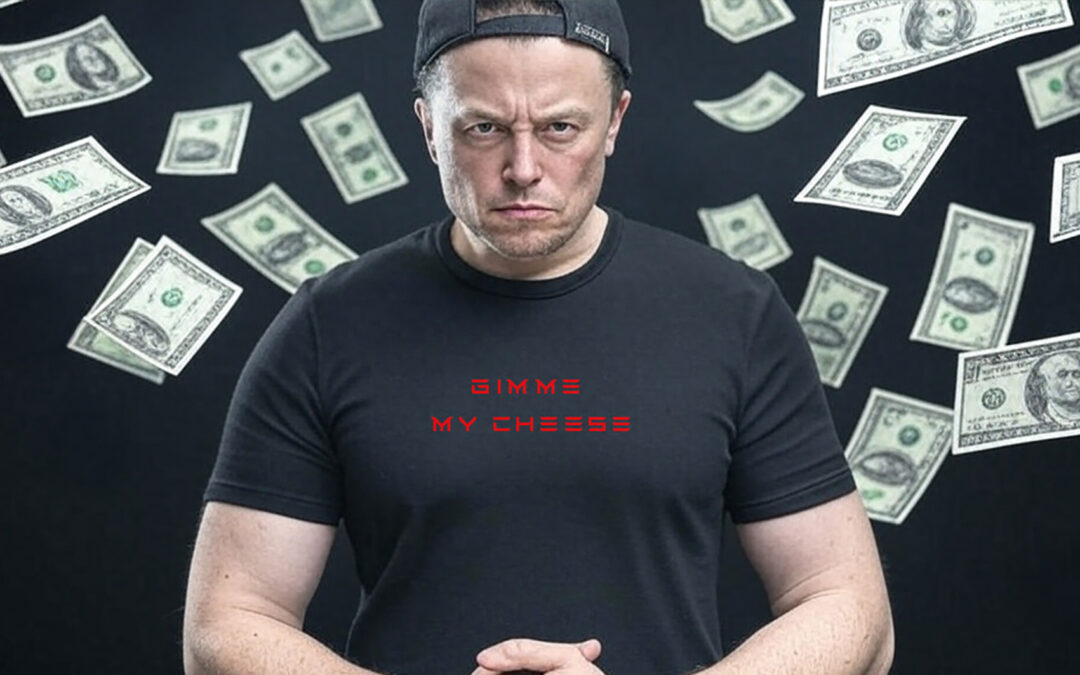 Say cheesy: Musk demands Wisconsin voters return his money